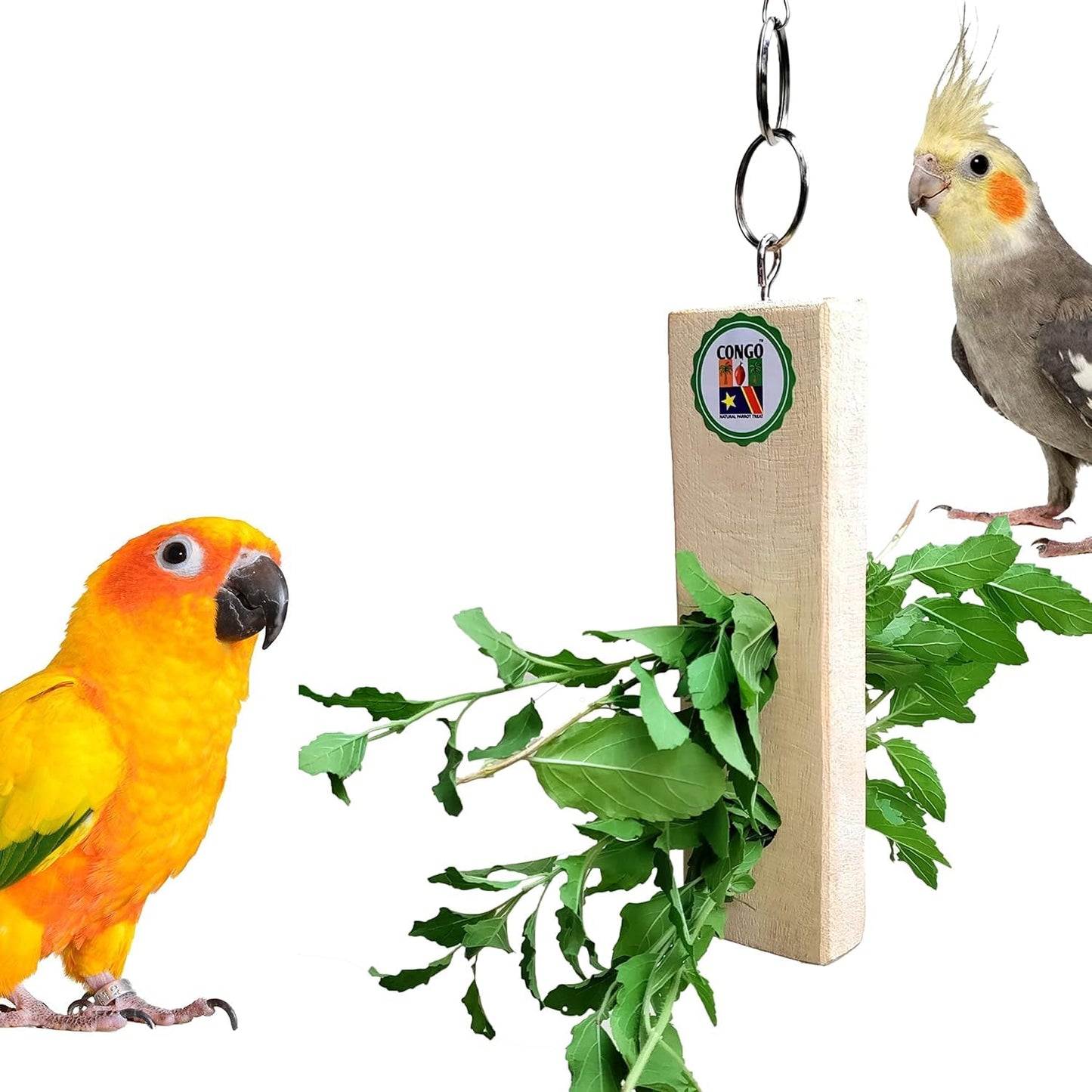 Natural Wooden Bird Toy Combo Set for Parrots, Cockatiels & Lovebirds | Chewing, Climbing & Perch Accessories | Cage Hanging Toys for Small & Medium Birds (5 Pieces)