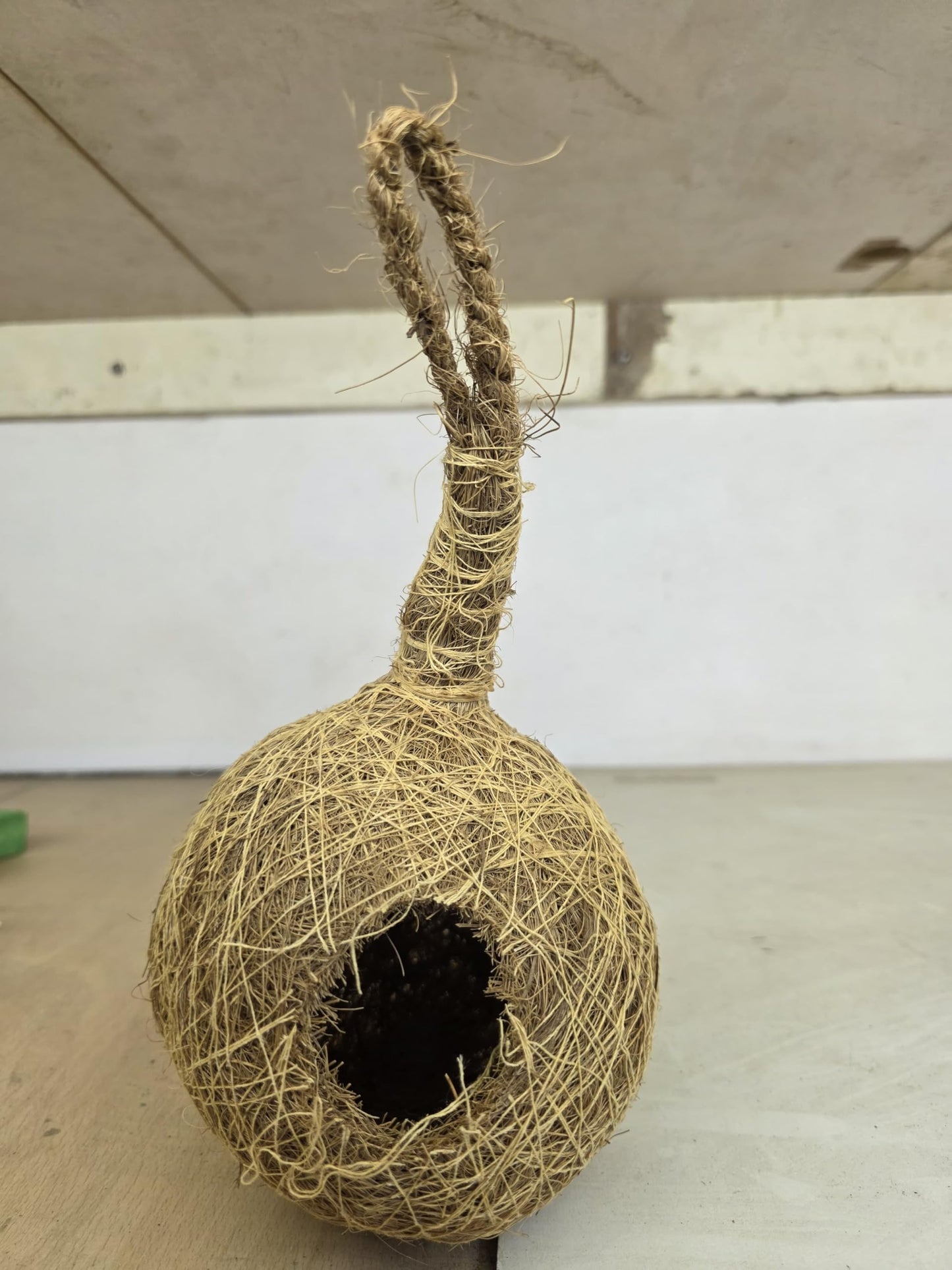 Congo Natiral Hanging Coconut Fiber Bird Nest - | Suitable for Small Birds Breed | 100% Natural Coir Breeding Nest for Sparrow, Finch, Parakeet, Hummingbird and Other Small Birds