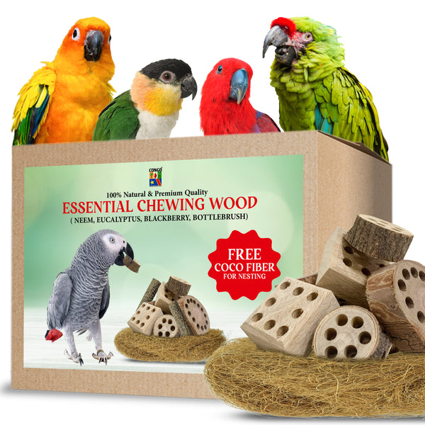 CONGO Natural Chewing Wood Toy, 8 Pieces