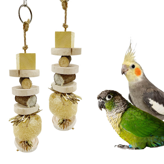 Congo® 12 inch Set of 2 Pcs Natural Luffa Chewing Toy for Budgies, Lovebirds, Cockatiels, Conure, Senegal and Other Birds