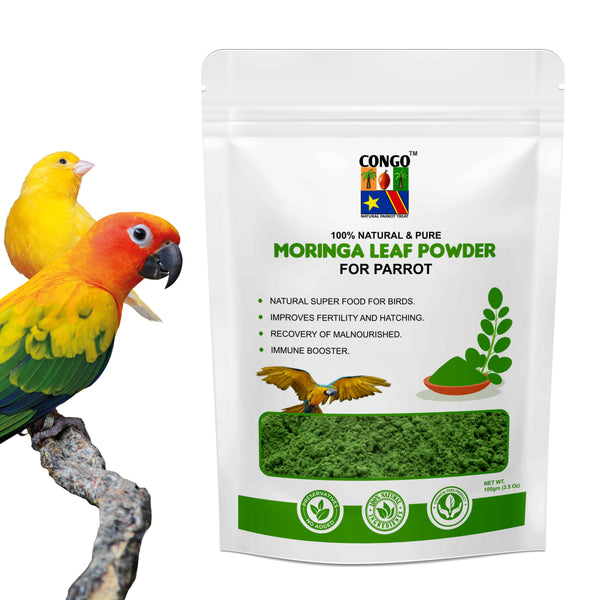CONGO Moringa Powder 100gm for Birds