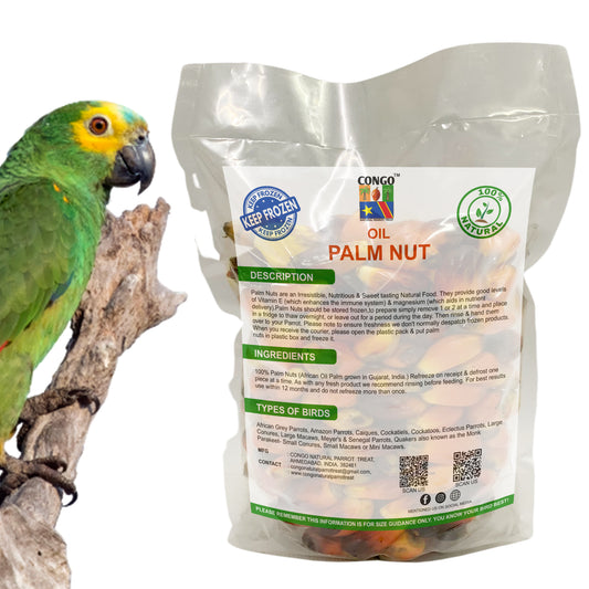 CONGO Oil Palm Nut High Fat Food For African Grey Parrots, Amazon Parrots, Caiques, Cockatiels, Cockatoos, Eclectus Parrots, Large Conures, Large Macaws, And Others