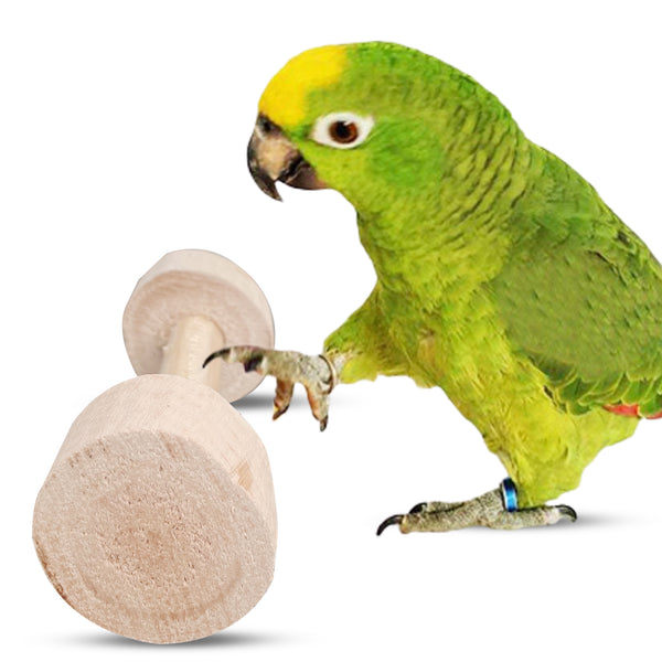 CONGO Rolling Roller Bird Toy, Pack of 2