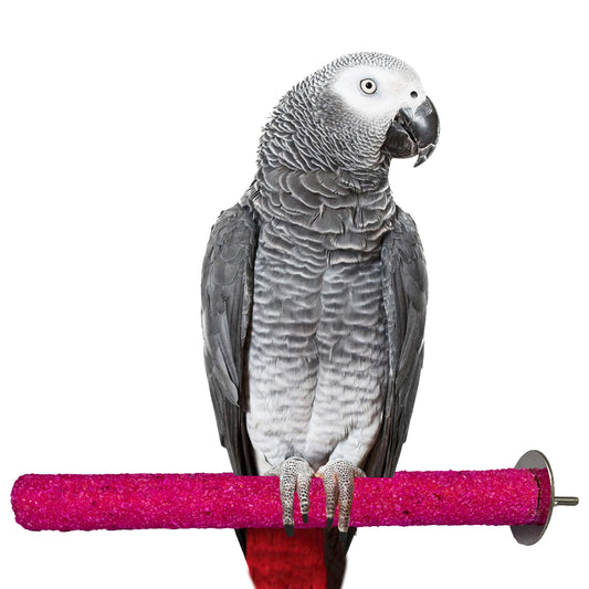 Congo Premium Safe Chew Bird Sandy Sand Perch for Grinding Nail for Birds (Medium Sandy Perch 12")