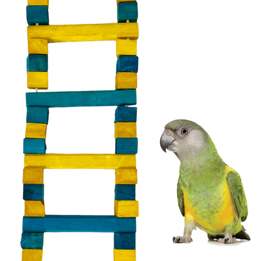 Congo Colored 36 Inch Ladder for Chewing and Playing for Amazon, African Grey, Macaw, Cockatoo and Other Birds (Piece of 1)